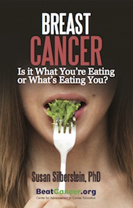 Breast Cancer Book Susan Silberstein PhD Beat Cancer